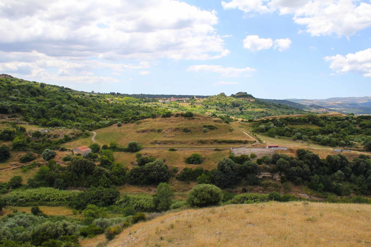 Antas Bed & Breakfast Padria Екстериор снимка
